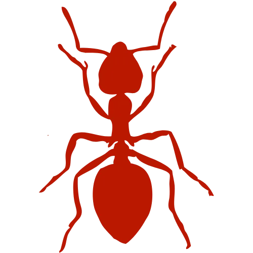 Residential Services 2 Ants