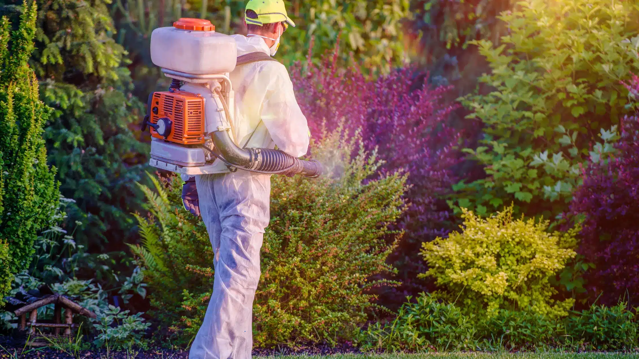 Exterminator spraying for pests
