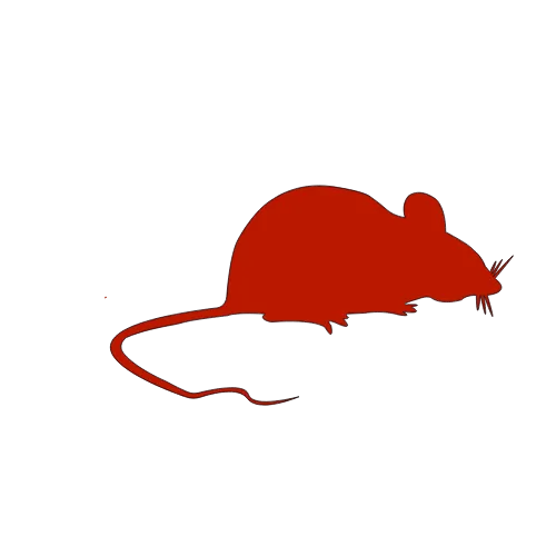 Residential Services 5 Rodent