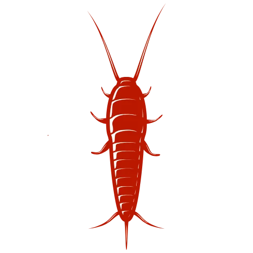 Commercial Services 7 Silverfish