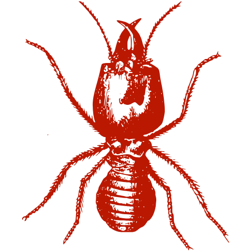 Residential Services 4 Termites